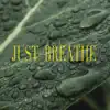 Just Breathe album lyrics, reviews, download