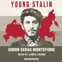 Simon Sebag Montefiore - Young Stalin artwork