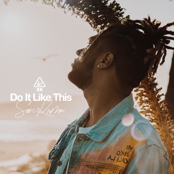 Cover artwork for Do It Like This
