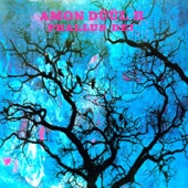 Amon Düül II - Dem Guten, Schönen, Wahren