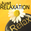 Just Relaxation - Stress & Anxiety Buster, Depression Cure for Feeling Good and Happy - Anxiety Relief