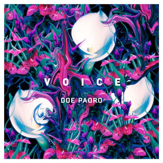 Cover artwork for Voice