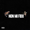 Non mi fido - Single
