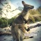 Kangaroo (Radio Edit) - Leo Aberer lyrics