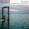 Stream & download Wonderful (Radio Edit) [feat. Alexandra] - Single