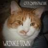 Wrinkle Town - Single