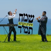 שמח תמיד artwork