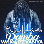 Ramba Wakadzvanya artwork