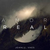 Amor Real (feat. Vaes) artwork