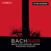 Hana Blažíková - St. John Passion, BWV 245: No. 35, Zerfließe, mein Herze