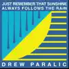 Just Remember That Sunshine Always Follows the Rain - Single album lyrics, reviews, download