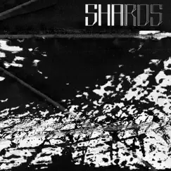 SHARDS (feat. Aftermind) Song Lyrics