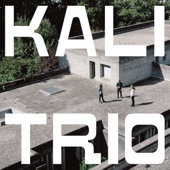 KALI Trio - Shipol