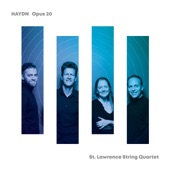 String Quartet in A Major, Op. 20 No. 6: I. Allegro di molto e scherzando artwork