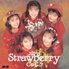 COCO - はんぶん不思議