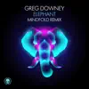 Elephant (Mindfold Remix) - Single album lyrics, reviews, download