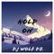 Hold on - Dj wolf dz lyrics