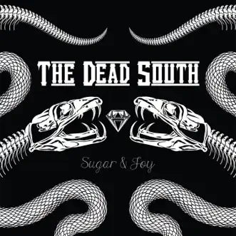 Broken Cowboy by The Dead South song reviws