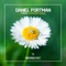 Parasol (Yvvan Back Remix Edit) - Daniel Portman lyrics