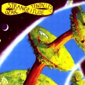 Ozric Tentacles - Saucers