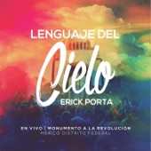 Lenguaje del Cielo artwork