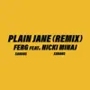 Plain Jane REMIX (feat. Nicki Minaj) song lyrics