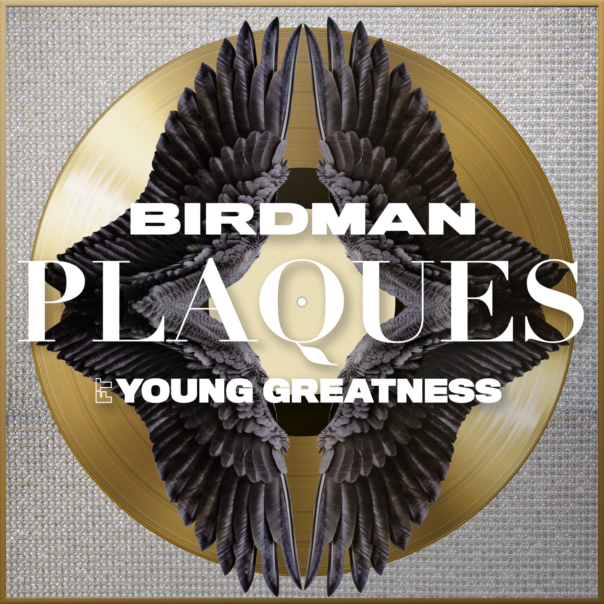 Birdman - Plaques (feat. Young Greatness) - Single