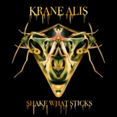 Shake What Sticks artwork