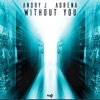 Without You (Extended Mix) - Single