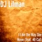 I Like the Way She Move (feat. 40 Cal) - DJ Lilman lyrics