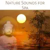 Nature Sounds for Spa: Relaxing Ambiences for Wellness, Massage and Reiki, New Age Music for Yoga, Meditation & Healing album lyrics, reviews, download