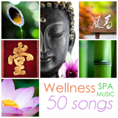 Wellness Spa Music - Beauty Center Calming Background Ambient Collection, 50 Songs - Wellness