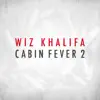Cabin Fever 2 album lyrics, reviews, download