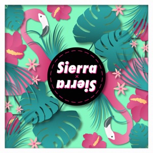 Sierra - Sierra Sierra Latin House (SuperSax Radio Edit) - Line Dance Choreographer