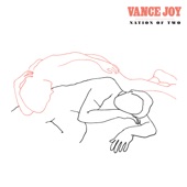 Vance Joy - I'm with You