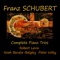 Piano Trio No. 2 in E-Flat Major, Op. 100, D. 929: No. 2, Andante con moto artwork