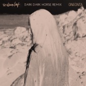 Oneonta (Dark Dark Horse Remix) artwork