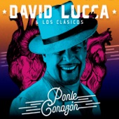 David Lucca & los Clasicos - Ponle