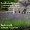 Jesu, Lover of My Soul (Aberystwyth, Organ) song lyrics