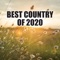 Like A Cowboy - Parker McCollum lyrics