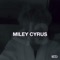 Miley Cyrus - Destroy Lonely lyrics