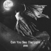 Can You See the Light - Single