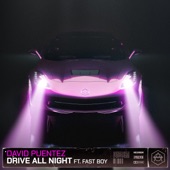 Drive All Night (feat. FAST BOY) artwork