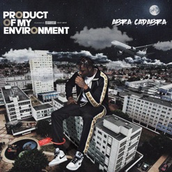 PRODUCT OF MY ENVIRONMENT cover art
