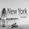 Stream & download New York - Single