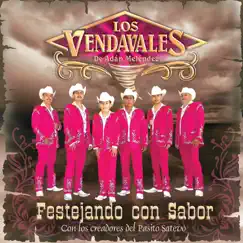 Festejando Con Sabor by Los Vendavales de Adán Meléndez album reviews, ratings, credits