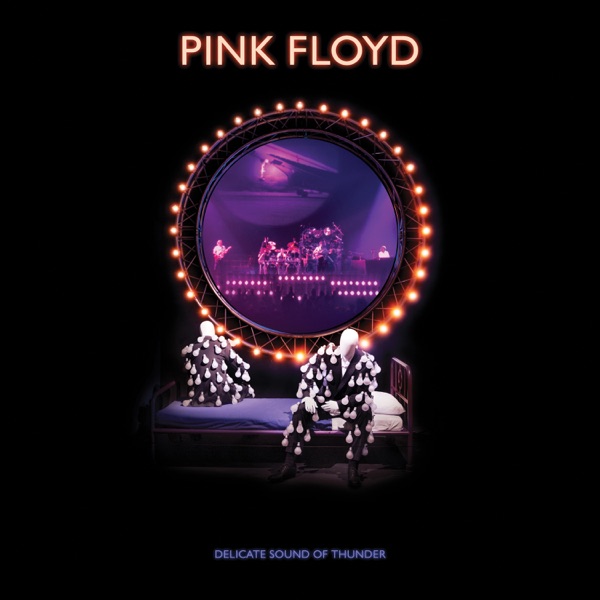 Learning to Fly (Delicate Sound Of Thunder Remix, 2020 Edit [Live]) - Single - Pink Floyd