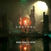 In Control (feat. Selin) artwork