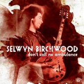Selwyn Birchwood - Hoodoo Stew