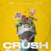 Crush (feat. Robert Cristian) - Single